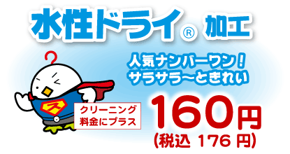 水性ドライ加工、プラス160円(税込176円)